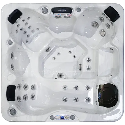 Avalon EC-849L hot tubs for sale in Fort Bragg